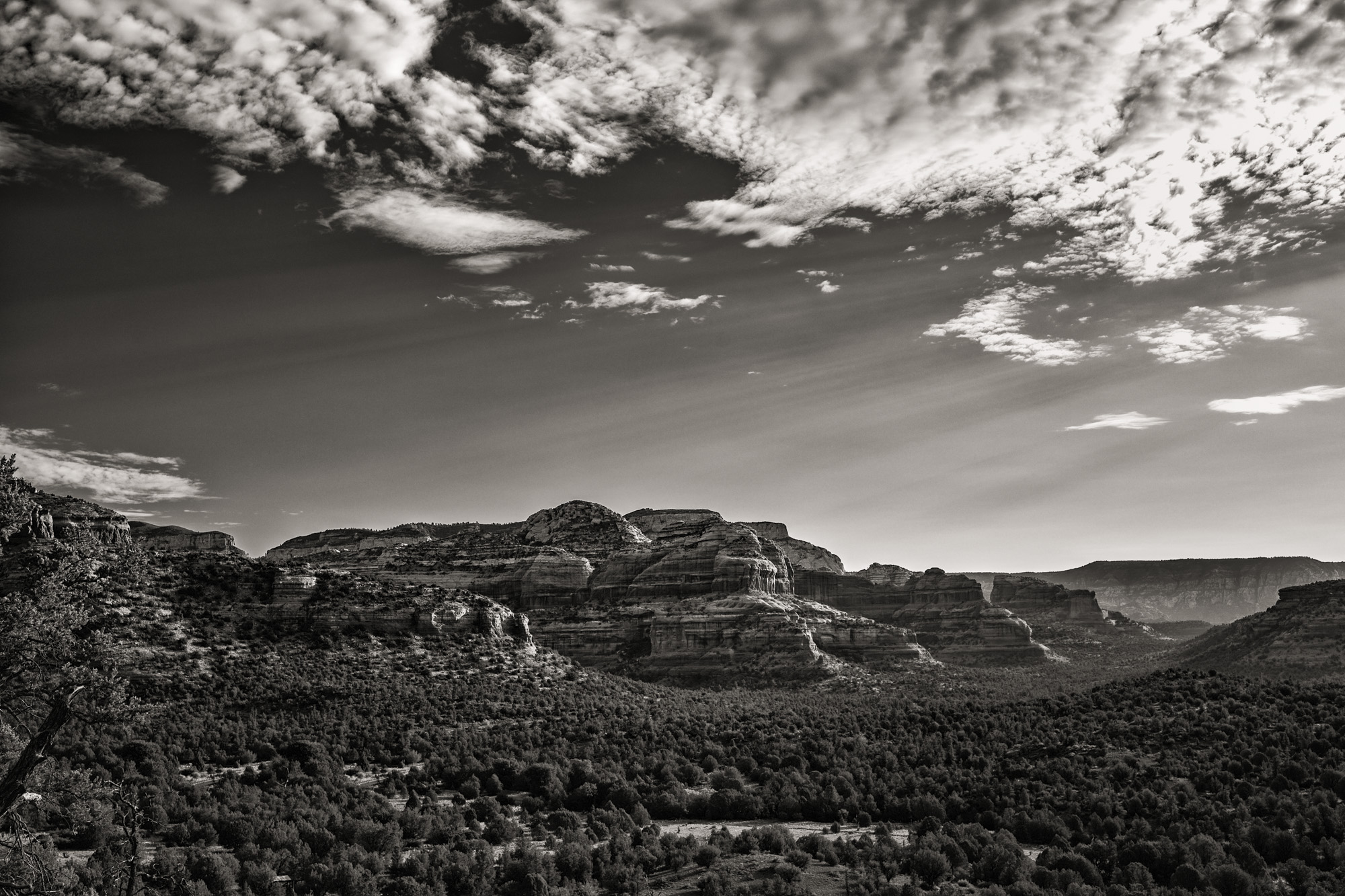 Sedona landscape in black and white