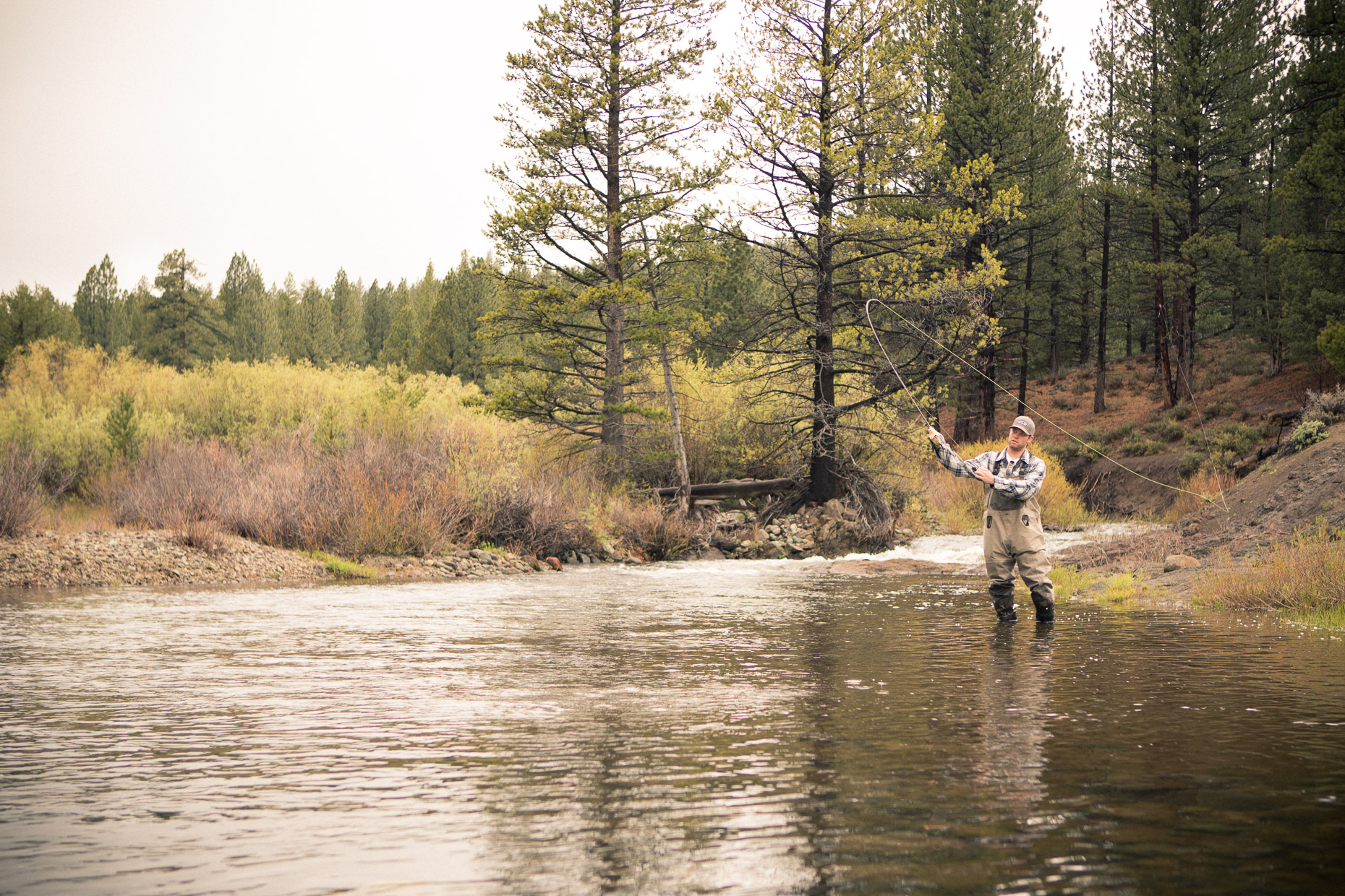 Fly fishing on a stream in the Sierra Nevada