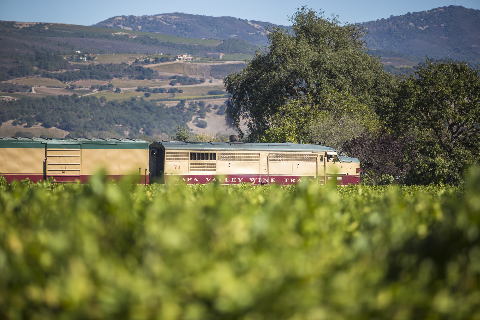 Napa wine train