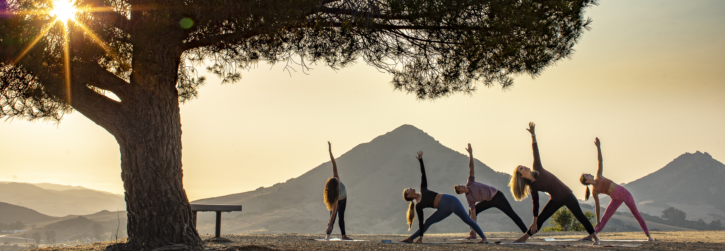 Yoga At Sunset  San Luis Obispo 