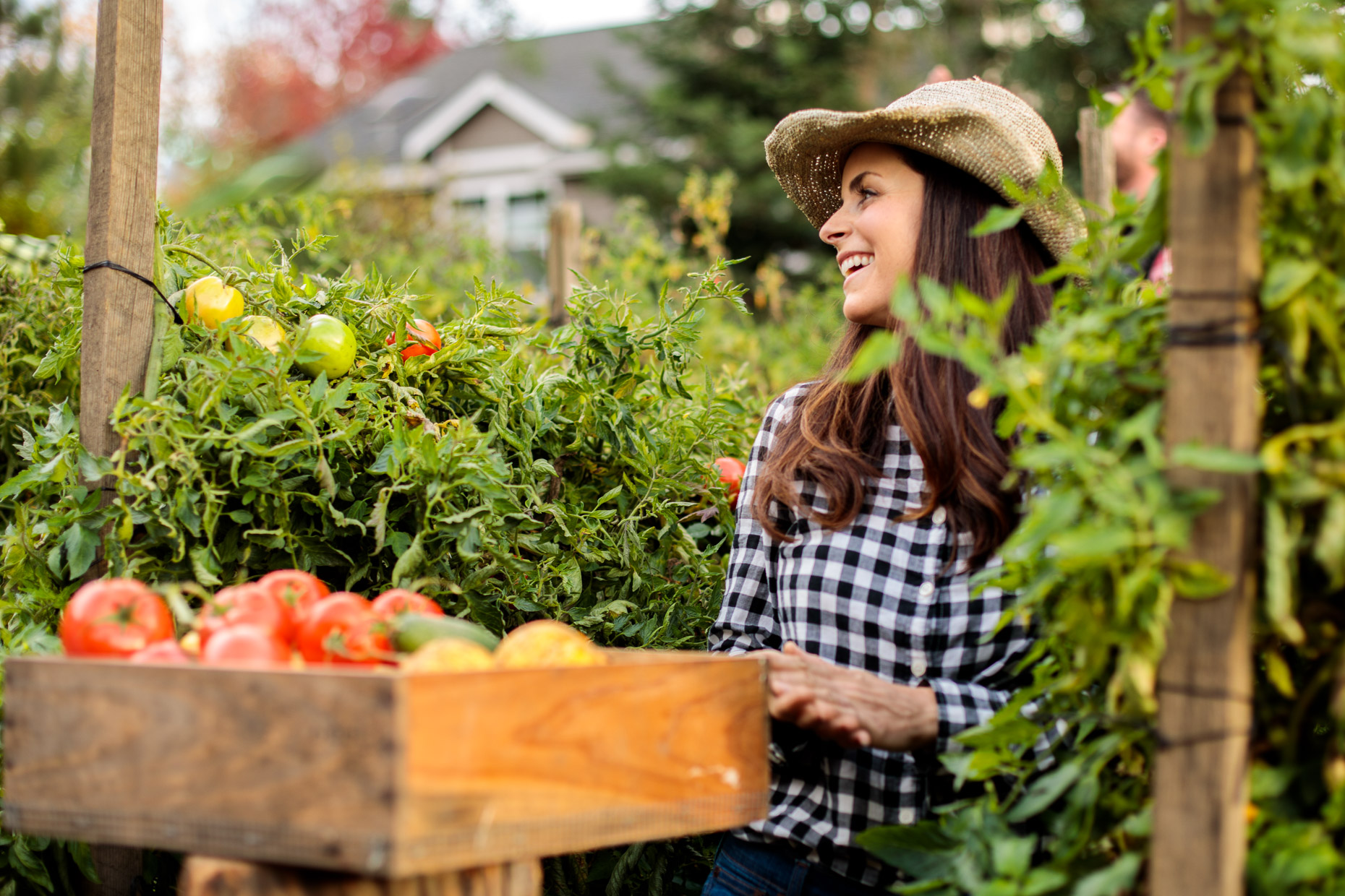 woman picks fresh vegetables from garden