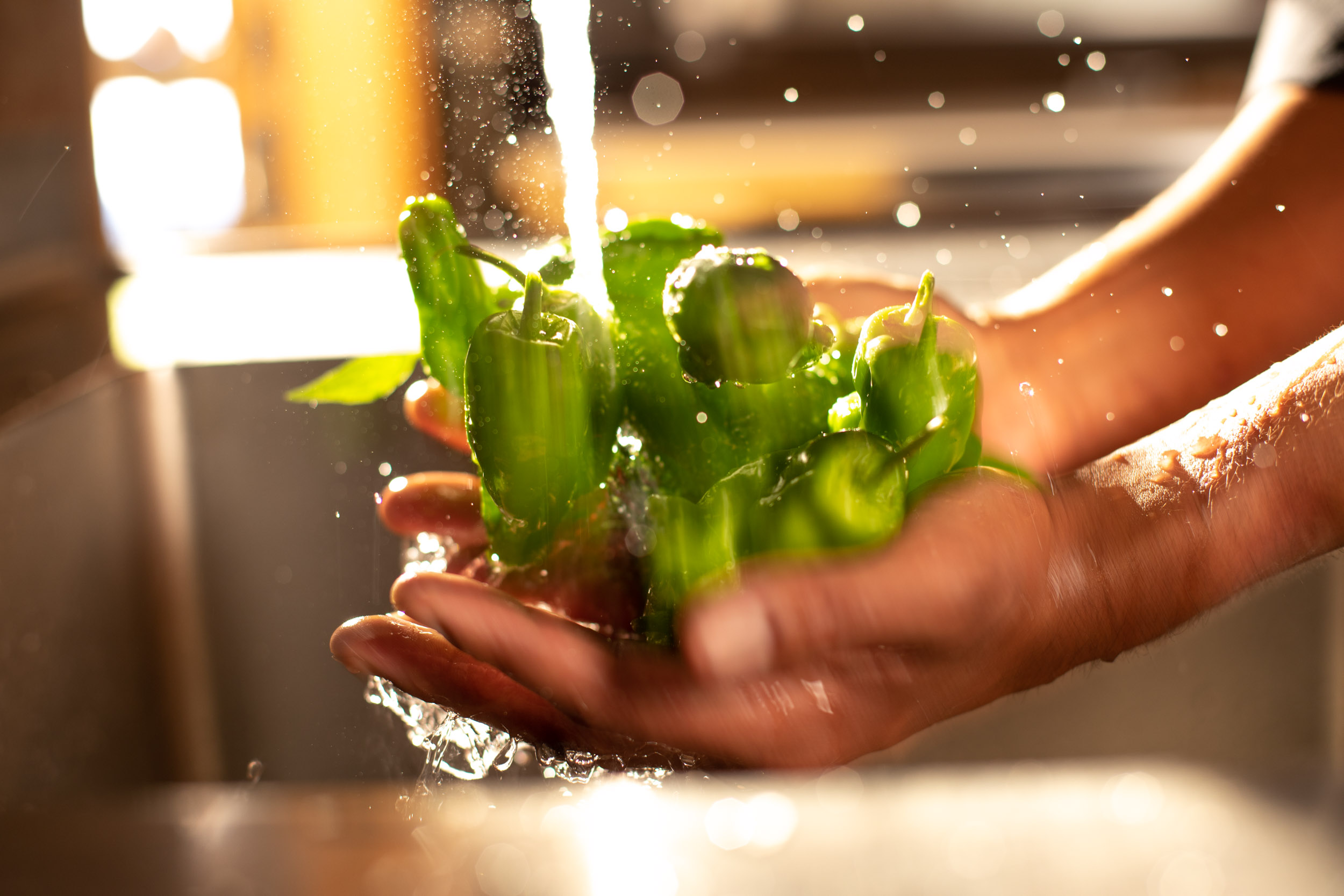 Washing shishito peppers