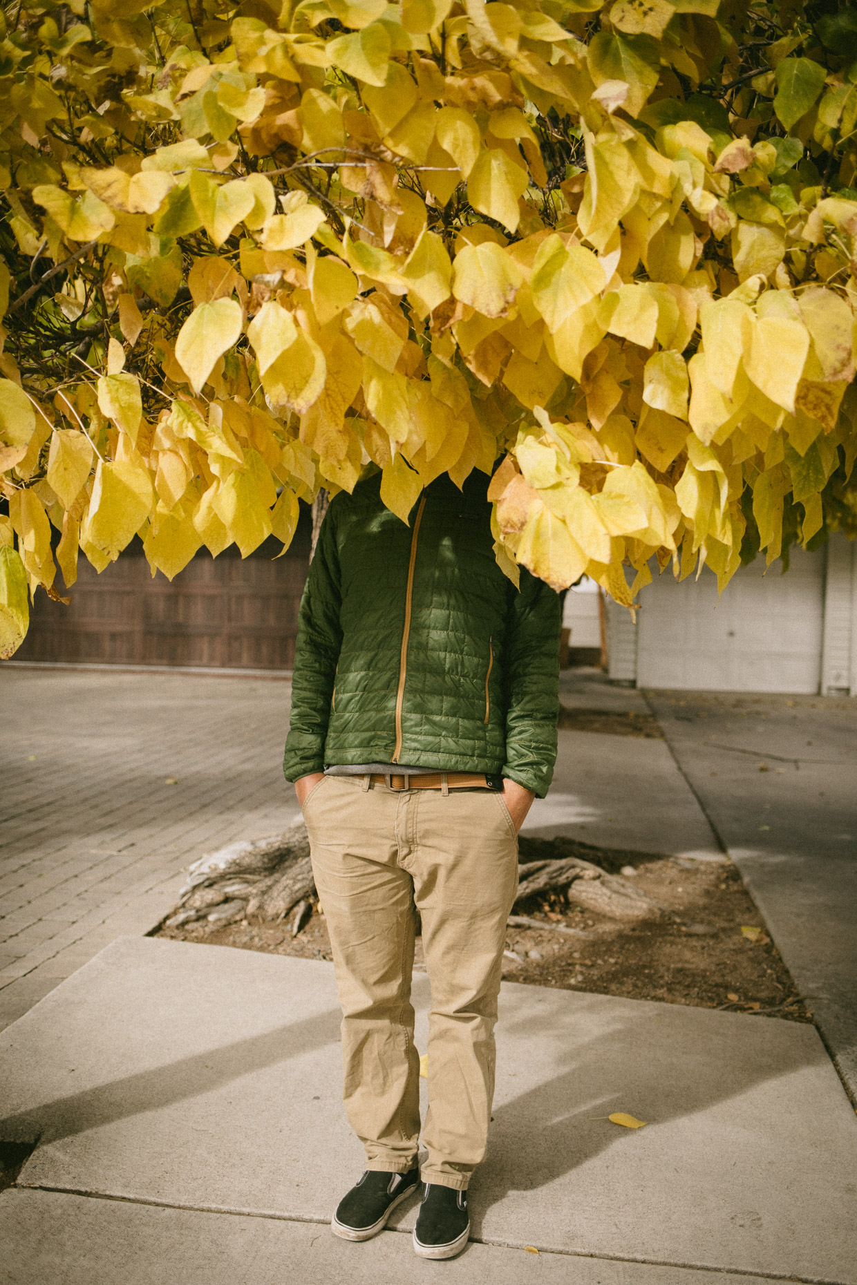 Man stands under fall leaves hiding his head